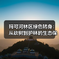 玛可河林区绿色转身:从砍树到护林的生态保护实践(图1) 玛可河林区绿色转身:从砍树到护林的生态保护实践(图1)