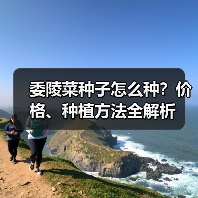 委陵菜种子怎么种？价格、种植方法全解析（图1）