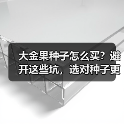 大金果种子怎么买?避开这些坑,选对种子更关键 大金果种子怎么买?避开这些坑,选对种子更关键