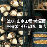 湟水 湟水