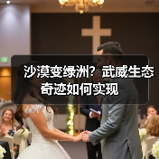 沙漠变绿洲?武威生态奇迹如何实现(图4) 沙漠变绿洲?武威生态奇迹如何实现(图4)