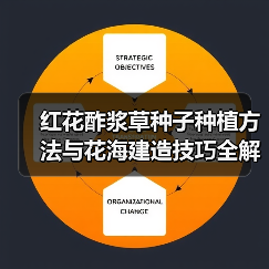 红花酢浆草种子种植方法与花海建造技巧全解析(图3) 红花酢浆草种子种植方法与花海建造技巧全解析(图3)