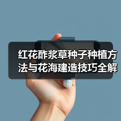 红花酢浆草种子种植方法与花海建造技巧全解析（图2）