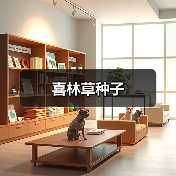 喜林草种子（图2）