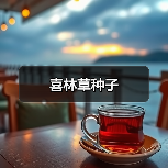 喜林草种子（图4）