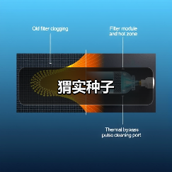 猬实种子（图1）