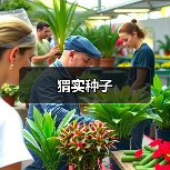 猬实种子（图3）