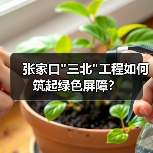 张家口