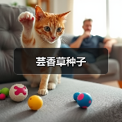 芸香草种子（图4）