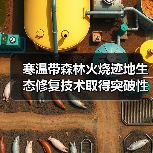 寒温带森林火烧迹地生态修复技术取得突破性进展(图2) 寒温带森林火烧迹地生态修复技术取得突破性进展(图2)