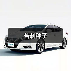 苦刺种子（图1）