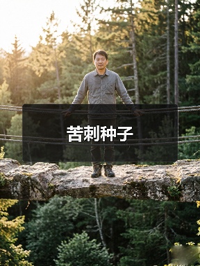 苦刺种子（图2）