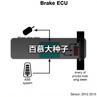 百慕大种子（图4）