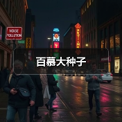 百慕大种子（图3）
