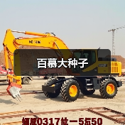 百慕大种子（图2）