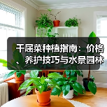 千屈菜种植指南:价格、养护技巧与水景园林应用全解析(图4) 千屈菜种植指南:价格、养护技巧与水景园林应用全解析(图4)