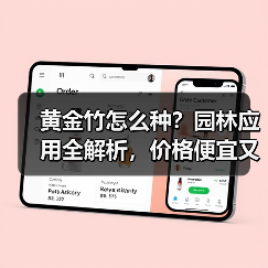 黄金竹怎么种?园林应用全解析,价格便宜又实用(图3) 黄金竹怎么种?园林应用全解析,价格便宜又实用(图3)