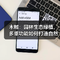 木贼:园林生态绿植,多重功能如何打造自然景观?(图3) 木贼:园林生态绿植,多重功能如何打造自然景观?(图3)