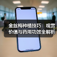 金丝梅种植技巧：观赏价值与药用功效全解析（图2）