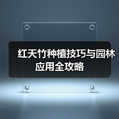 红天竹种植技巧与园林应用全攻略（图2）