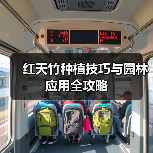 红天竹种植技巧与园林应用全攻略（图3）