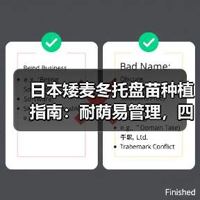 日本矮麦冬托盘苗种植指南：耐荫易管理，四季常绿！（图4）