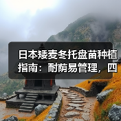 日本矮麦冬托盘苗种植指南：耐荫易管理，四季常绿！（图1）