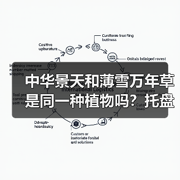中华景天和薄雪万年草是同一种植物吗?托盘苗选购全解析(图4) 中华景天和薄雪万年草是同一种植物吗?托盘苗选购全解析(图4)