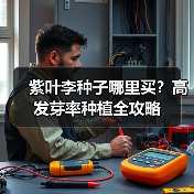 紫叶李种子哪里买？高发芽率种植全攻略（图3）
