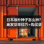 日本厚朴种子怎么种?高发芽率技巧+购买渠道全解析(图4) 日本厚朴种子怎么种?高发芽率技巧+购买渠道全解析(图4)