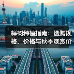 榉树种植指南：选购规格、价格与秋季观赏价值全解析（图1）