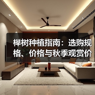 榉树种植指南：选购规格、价格与秋季观赏价值全解析（图4）