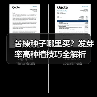 苦楝种子哪里买？发芽率高种植技巧全解析（图2）