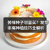 苦楝种子哪里买？发芽率高种植技巧全解析（图4）