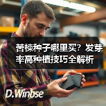 苦楝种子哪里买？发芽率高种植技巧全解析（图3）