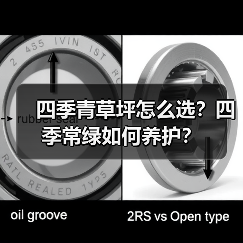 四季青草坪怎么选?四季常绿如何养护?(图4) 四季青草坪怎么选?四季常绿如何养护?(图4)