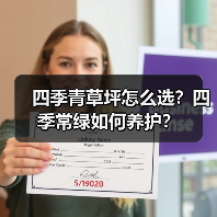 四季青草坪怎么选?四季常绿如何养护?(图1) 四季青草坪怎么选?四季常绿如何养护?(图1)